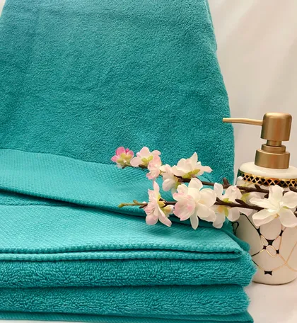 Luxury Combo of 2 bath sheets